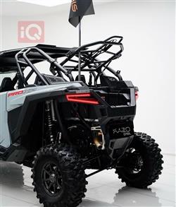 پۆلاریس RZR